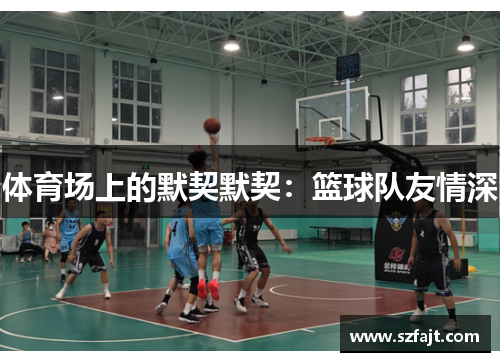 体育场上的默契默契：篮球队友情深